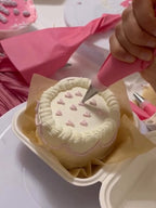 Bento Cake Workshop
