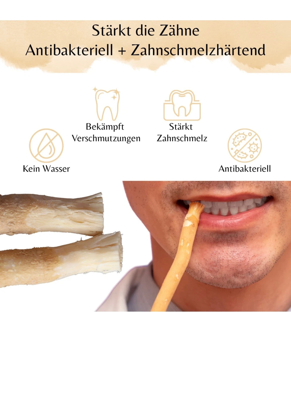 Anwendung eines Miswak-Sticks zur natürlichen Reinigung der Zähne