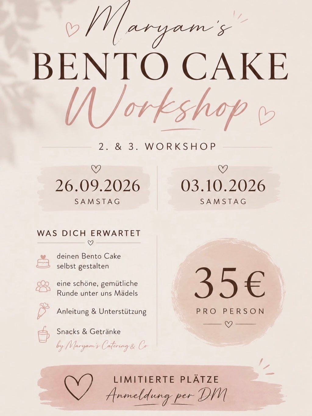Bento Cake Workshop