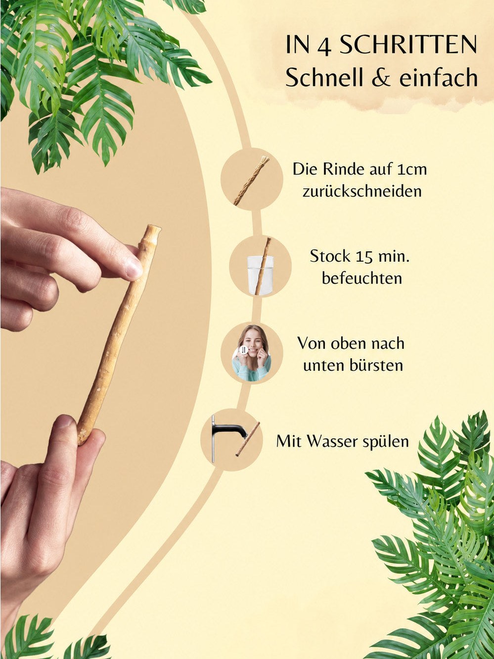 Miswak in vier Schritten richtig anwenden