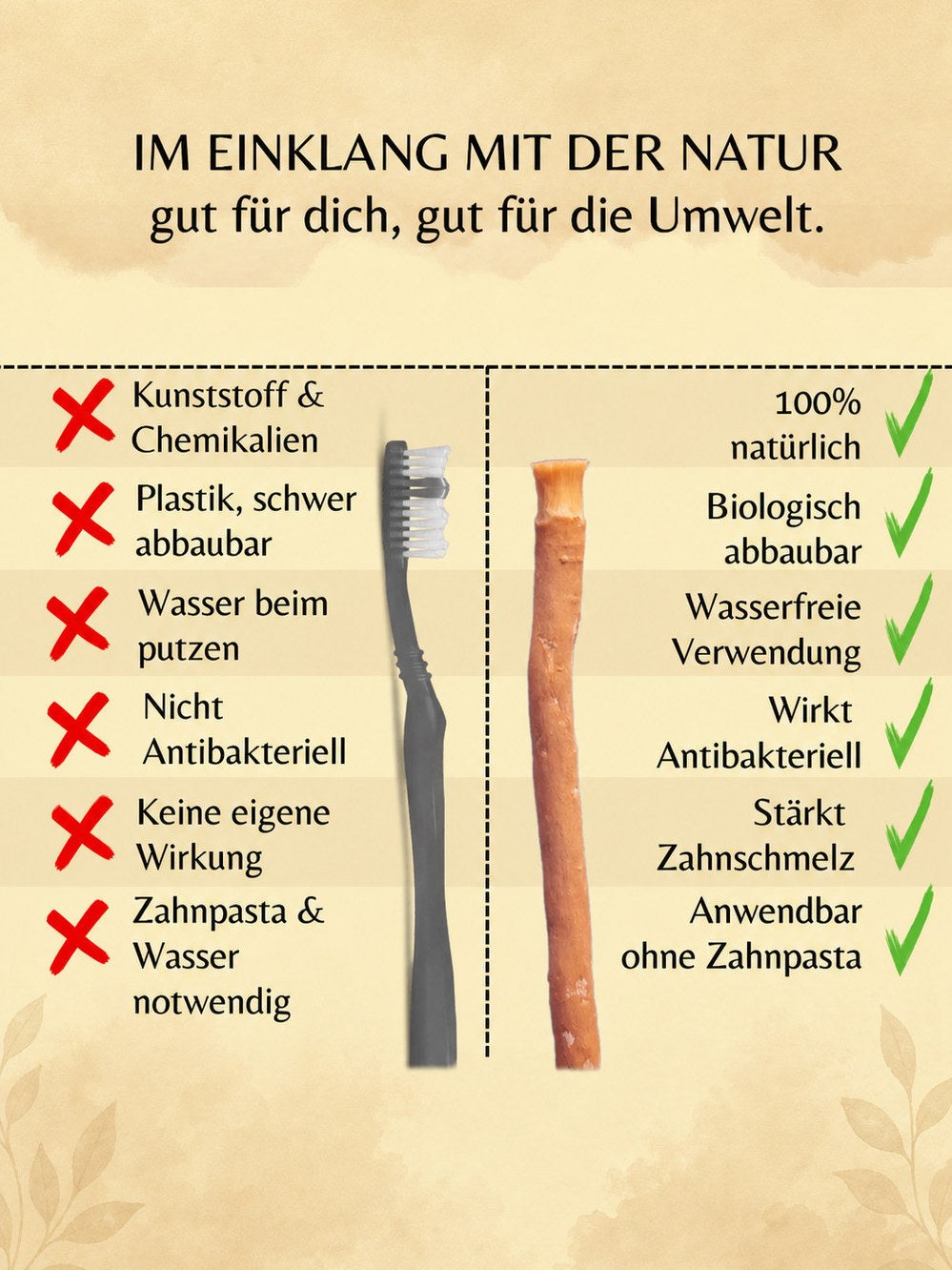 Vergleich von Zahnbürste und Miswak